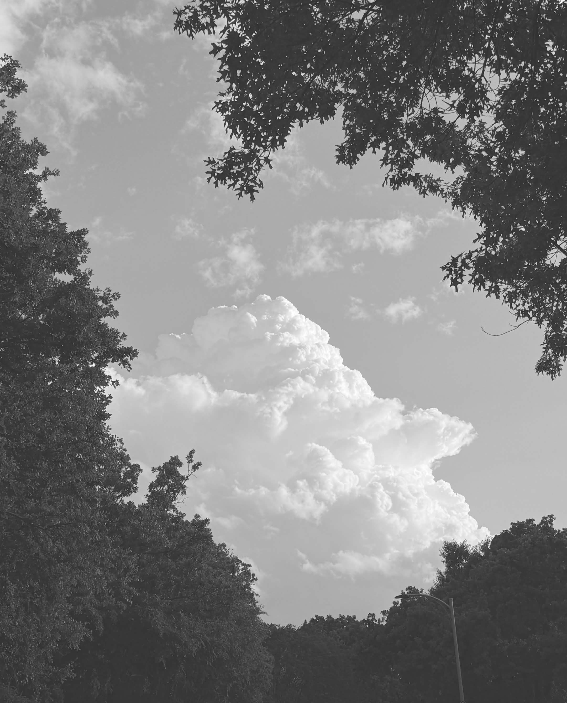 雲になれたらいいのに